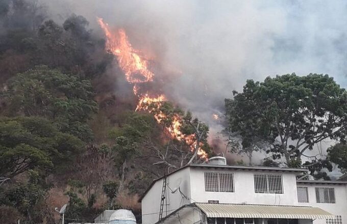 Reportaron incendio forestal en El Ávila este #13Mar (Fotos)